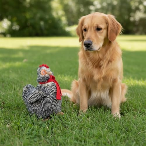 Fuzzl Plush Super Soft Cheeky Chicken Dog Toy & Comforter – Cuddly Plush with Squeaker, Gentle Dog Toy for Puppies & Small to Medium Dogs - style: Cheeky Chicken