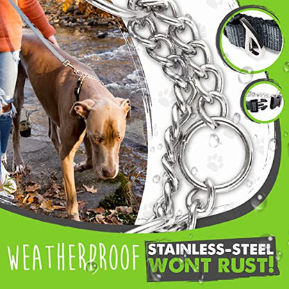 Mighty Paw Martingale Dog Collar 2.0 | Trainer Approved Limited Slip Collar with Stainless Steel Chain & Heavy Duty Buckle - Modified Cinch Collar for Gentle & Effective Pet Training - Medium, Grey - color: Grey, size: Medium