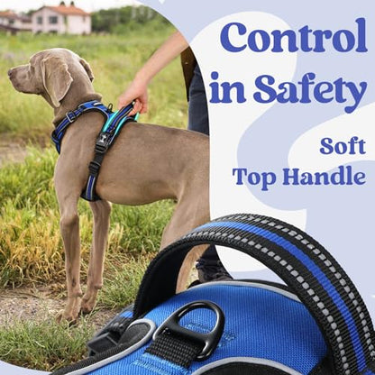 rabbitgoo Dog Harness Small Sized, No Pull Easy On & Off with 3 Buckles Pet Harness, Adjustable Soft Walking Vest with 2 Clips and Handle, Reflective for Small Dogs, Blue, S - color: Blue, size: Small