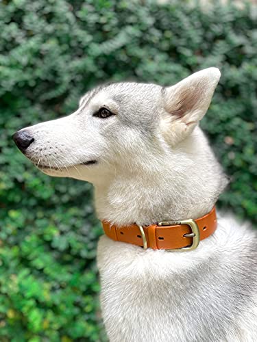 Tuff Pupper Classic Heavy Duty Dog Collar | 10x Stronger Than Leather | 100% Waterproof & Odor Proof Dog Collar | Tough Rust-Proof All Metal Hardware - color: Burnt Orange