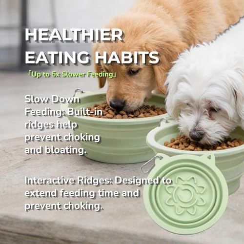 Collapsible Dog Bowls 2 Pack (22oz Each) – Portable Foldable Silicone Travel Bowl Set with Slow Feeder & Carabiner Clip for Hiking Camping Backpack | Dishwasher Safe | for Medium Dogs