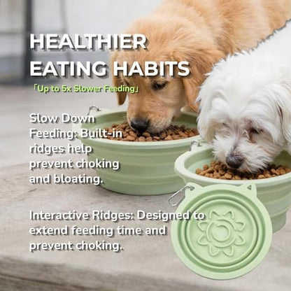 Collapsible Dog Bowls 2 Pack (22oz Each) – Portable Foldable Silicone Travel Bowl Set with Slow Feeder & Carabiner Clip for Hiking Camping Backpack | Dishwasher Safe | for Medium Dogs