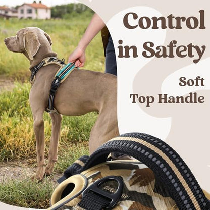 rabbitgoo Dog Harness Small Sized, No Pull Easy On & Off with 3 Buckles Pet Harness, Adjustable Soft Walking Vest with 2 Clips and Handle, Reflective for Small Dogs, Desert Ridge, S - color: Desert Ridge, size: Small
