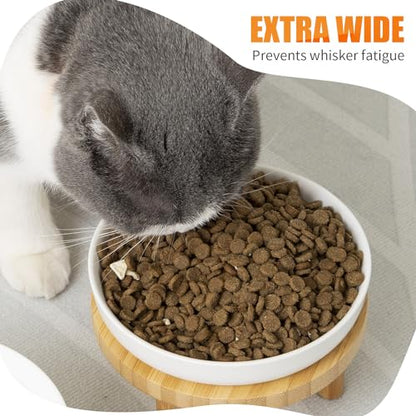 Lusifaco Shallow Elevated Cat Bowls,5.9 Inch Wide Raised Ceramic Cat Dishes with Bamboo Stand, Whisker Friendly Pet Water or Food Plates Feeding Station for Indoor Cats, Kitten(Green,Set of 2) - color: Green