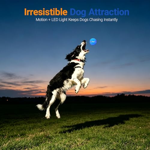 Interactive Dog Ball Toy for Small Medium Dogs – Automatic Rolling, Bouncing & Moving Dog Toy with LED Lights, 2-in-1 Fetch Toy, Durable E-TPU, USB Rechargeable (2.8” Blue) - color: Blue, size: Medium (2.8" / 70mm) – 019