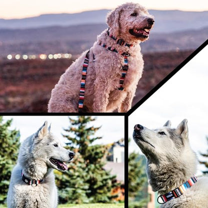 Wolfgang Heavy Duty, Adjustable Dog Collar with Quick Release Nylon Buckle for Walking & Training, LostArt Print, Small - color: LostArt Print, size: Small (5/8 Inch x 8-12 Inch)