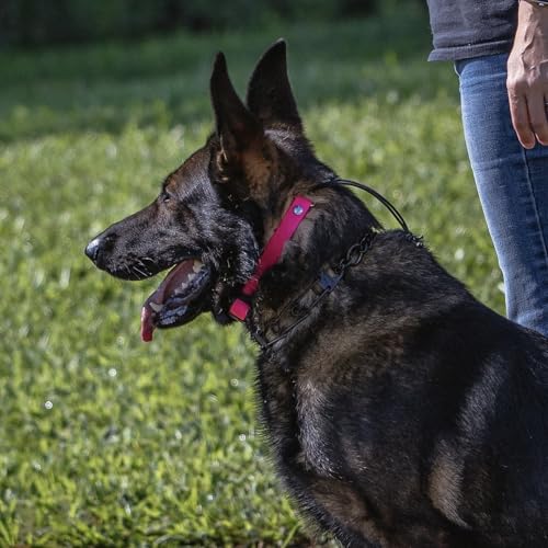 SparkDog 3/4” High Flex Quick Adjust E-Collar Strap Waterproof Replacement Collar Compatible w/SportDOG, Garmin, Dogtra & E-Collar Technologies, Genuine BioThane®-Made in USA (Black HF, High Flex) - color: Black HF
