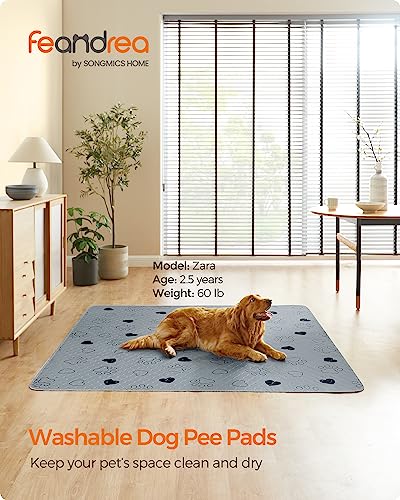 Feandrea Washable Dog Pee Pads, 2 Pack, Reusable, 72 x 72 Inches, XXXL, Waterproof Pet Training, Leakproof, Non-Slip, Super Absorbent, Gray UPTD072G01 - size: XXXL (72"L x 72"W)