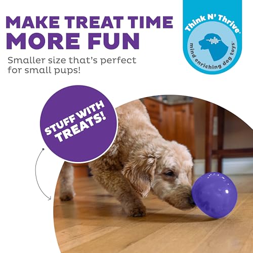 Outward Hound by Planet Dog Lil' Snoop Dog Toy – Treat‑Dispenser Puzzle Ball, Interactive Slow Feeder, Small to Medium Dogs, Bouncy & Mint-Infused, Purple, 3.9" - color: Purple Lil Snoop