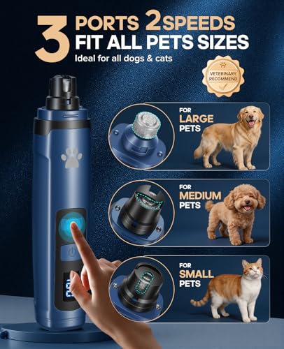 Dog Nail Grinder with 2 LED Lights, Upgraded 2-Speed Rechargeable Pet Nail Trimmer Quiet for Paw Grooming, Powerful Painless Nail Clipper Kit for Small, Medium, Large Dogs & Cats - color: Blue