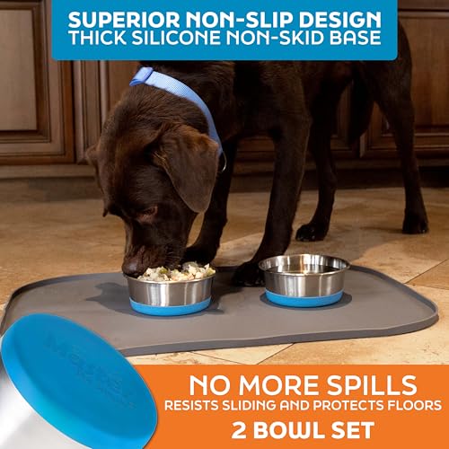 Master Pet Supply Stainless Steel Dog Bowls Set of 2 with Extra Thick Silicone Base - 2 Cup (16 oz) True Blue, Non-Slip, Dishwasher Safe Metal Bowls, Pet Dog Food Bowl for Dogs, Cats, Anti Rust - color: True Blue, size: 2 Cups (16 oz) 2 Pack