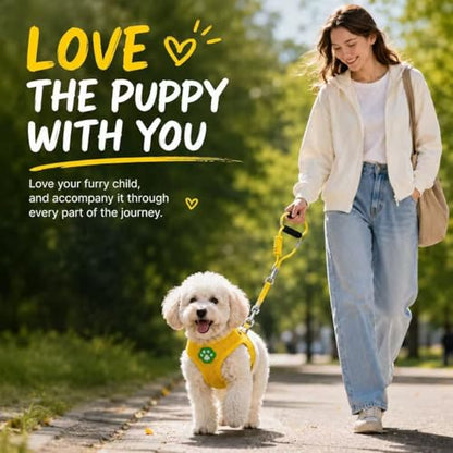 Dog Harness Small Sized and Leash Set, Step in Soft Light Puppy Vest, Breathable Mesh Pet Harness, Adjustable Pet Puppy Harness, Easy Walk Dog Harness, S: Chest 7.8-13.7" - color: Yellow, size: S: Chest 7.8-13.7" Leash 3.8 FT