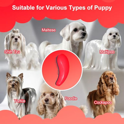 Small Dog Brush - Puppy Hair Brush- Grooming Tool for Teddy, Yorkies, Maltese, Shih Tzu, Chihuahua (Rose Red) - color: Rose Red