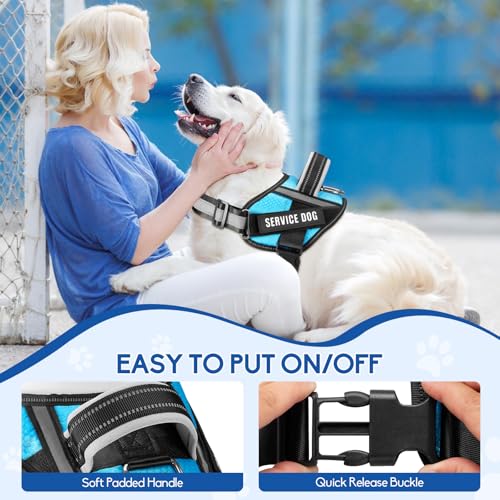 Service Dog Vest Harness and Leash Set, Animire in Training Dog Harness with 10 Dog Patches, Reflective Dog Leash with Soft Padded Handle for Small, Medium, Large, and Extra-Large Dogs - color: Light Blue, size: XXS