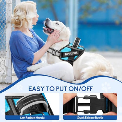 Service Dog Vest Harness and Leash Set, Animire in Training Dog Harness with 10 Dog Patches, Reflective Dog Leash with Soft Padded Handle for Dogs (Light Blue,Xs) - color: Light Blue, size: XS