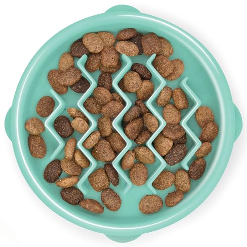Outward Hound Fun Feeder Slo Bowl – Small 3/4-Cup Capacity, Slow Feeding, Small Dogs, Puppies & Cats, Non-Slip, Mint, Wave Pattern - color: Mint, size: Small