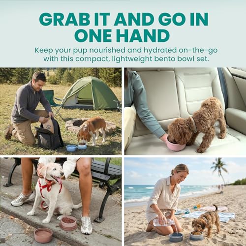 KindTail Dog Travel Bowls - Set of 2 Portable Pet Food & Water Dishes with Lid & Handle - Each Nesting Container Includes a Non-Slip Silicone Base - Microwave & Dishwasher Safe - BPA & Toxin-Free - color: Blue, size: Small