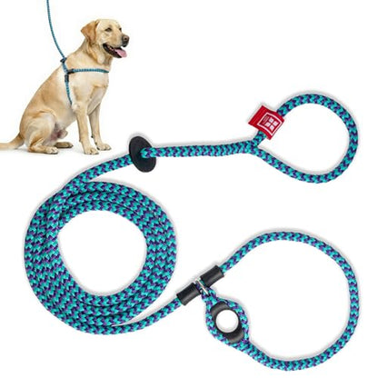 Harness Lead No Pull Dog Harness and Leash Set, Anti Pull Dog Harness, One-Piece Cushioned Rope Safely Prevents Escaping and Pulling (Medium/Large, Purple/Turquoise) - color: Purple/Turquoise