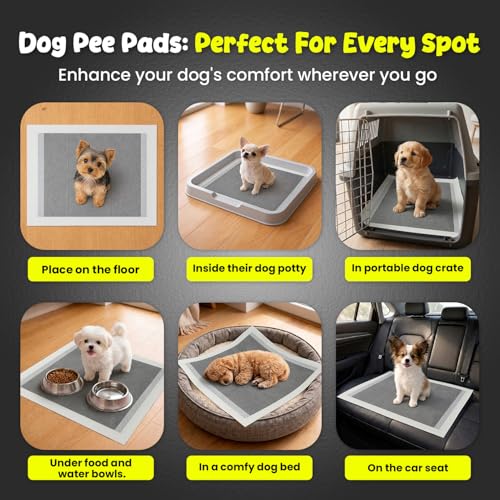 FPN Puppy Pads for Dogs Charcoal | Disposable Pee Pads for Puppies & Small Dogs | Pet Training Pads for Potty Training, Small Dog Pee Pads, Puppy Pads Bulk (100, 13x18 inch) - size: 13x18 inch