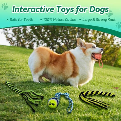 Flirt Pole for Dogs, Interactive Toys Tug-of-war for Pet, Durable Teaser Wand, Chase Toys with Rope Chewing Sticks, for Outdoor Exercise & Training - size: 2 switch-40.2Inch
