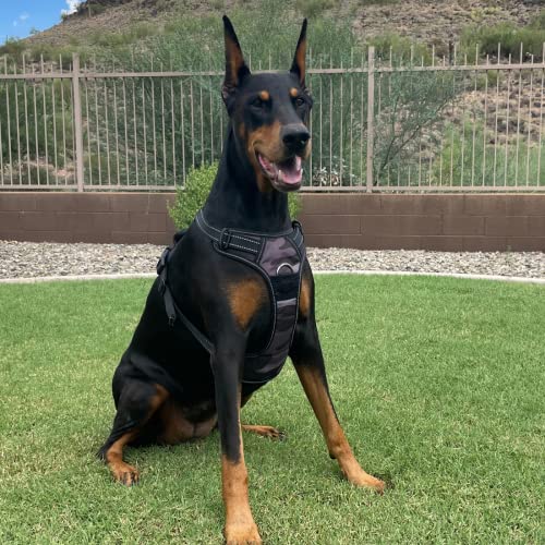 Dog Harness - color: Camo, size: XL
