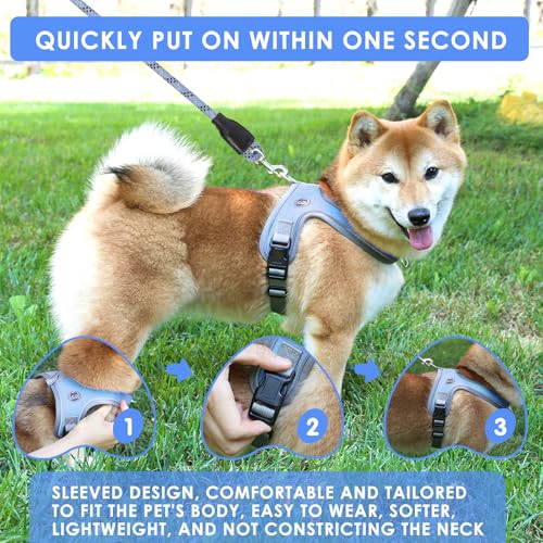 Dog Harness and Leash Set, No Pull Saddle Style Pet Harness, Breathable Mesh Adjustable Reflective Dog Vest for Medium Small Dogs Harness 2 D-Rings, Blue, XS - color: Blue, size: XS