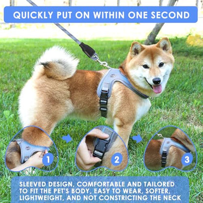 Dog Harness and Leash Set, No Pull Saddle Style Pet Harness, Breathable Mesh Adjustable Reflective Dog Vest for Medium Small Dogs Harness 2 D-Rings, Blue, XS - color: Blue, size: XS