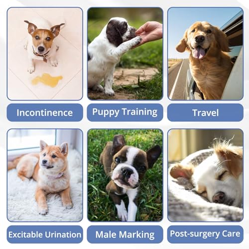 Paw Legend Washable Dogs Diapers Male Dog Belly Bands for Male Dogs Diapers Reusable Puppy & Doggie Diapers Male - color: Black, Grey, Blue, size: X-Small