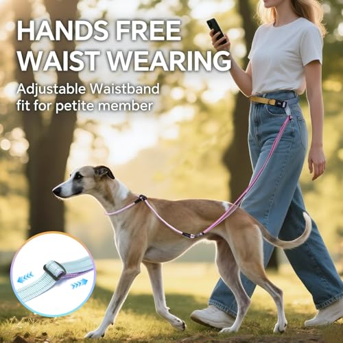 QQPETS Adjustable Slip Lead Dog Leash, Hands Free Waist Leash for Dog Walking, Reflective Training Lead with 360° Swivel Anti-Tangle, 4-7 ft Length for All Breeds - color: Color Gradient