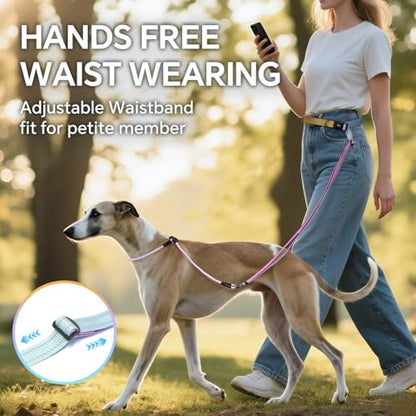 QQPETS Adjustable Slip Lead Dog Leash, Hands Free Waist Leash for Dog Walking, Reflective Training Lead with 360° Swivel Anti-Tangle, 4-7 ft Length for All Breeds - color: Color Gradient