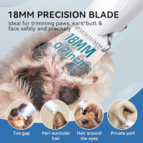 Dog Paw Trimmer, Pet Hair Trimmer with LED Light, 18mm Wide Head, 35dB Low Noise, Dual-Speed Waterproof USB Rechargeable Pet Hair Shaver for Dogs Cats Trimming Paws, Ears, Face, Rump, Eyes and Butt