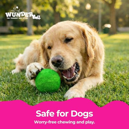 WACKYwalk'r WUNDERball Durable Dog Fetch Toy – Indestructible Natural Rubber Ball, Safer Than Tennis Balls, Floats for Indoor & Outdoor Play, Handmade in North America, Swirl Medium (up to 40 lbs.)