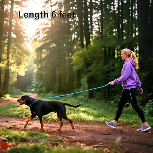 Heavy Duty Double Handle Dog Leash 6 ft Long for Total Control, Padded 2 Handle, Reflective Training Lead for Medium Large Dogs (Sky Blue, 6 FT) - color: Sky Blue