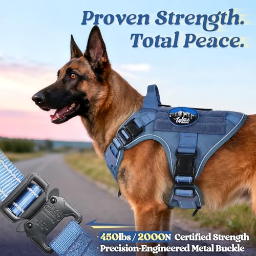 rabbitgoo Tactical Dog Harness Medium Sized, No Pull Upgraded Reflective Heavy Duty Molle Vest with Handle, Adjustable Military Service Dog Vest for Walking Hiking Training, Blue, M - color: Blue Reflective, size: Medium