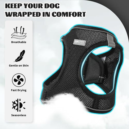 Dog Harness Small Sized and Leash Set, Step in Soft Light Puppy Vest, Breathable Mesh Pet Harness, Reflective for Safe Easy Walking. - color: Black, size: Large (Pack of 1)