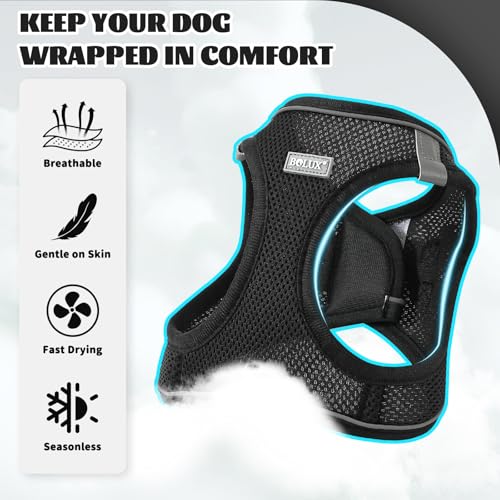 Dog Harness Small Sized and Leash Set, Step in Soft Light Puppy Vest, Breathable Mesh Pet Harness, Reflective for Safe Easy Walking. - color: Black, size: Medium (Pack of 1)