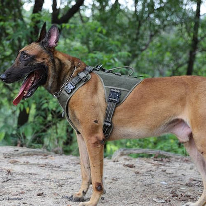 ICEFANG GN8 Tactical Dog Harness with 4X Metal Buckles for Medium Sized Dogs,Reflective in Training Walking K9 Dog Vest,No-Pull Front Leash Clip,Adjustable Pet Harness (Green, Medium (Pack of 1)) - color: Green, size: Medium (Pack of 1)