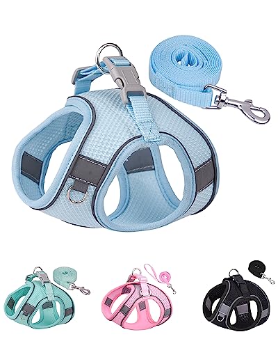 Solmoony Dog Harness for Small Medium Large Dogs No Pull, Puppy and Leash Set, Dogs, Step in Harness, mesh Harness. (Bule, S) - color: Bule, size: S