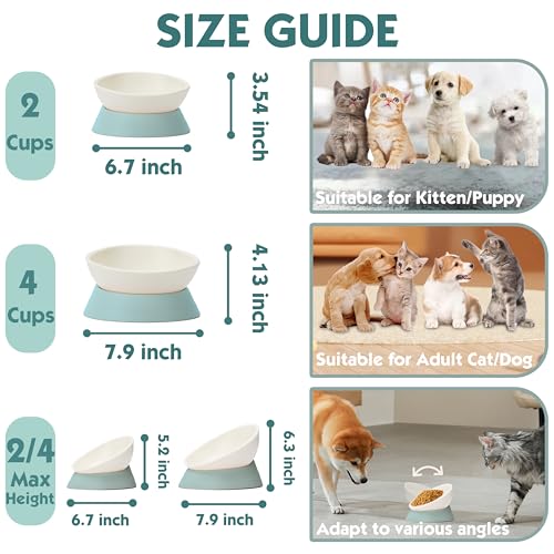 French Bulldog Food Bowl- Slanted Tilted Pug Food Water Bowl,Cat Bowl- Feeder for Frenchie/Shih Tzu/Flat Faced Small Dogs/Puppies/Cats (Green, 4 Cup) - color: Green, size: 4 Cup