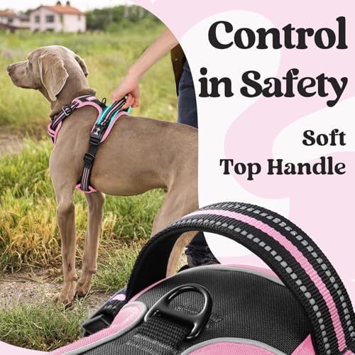 rabbitgoo Dog Harness Small Sized, No Pull Easy On & Off with 3 Buckles Pet Harness, Adjustable Soft Walking Vest with 2 Clips and Handle, Reflective for Small Dogs, Black & Pink, S - color: Black & Pink, size: Small