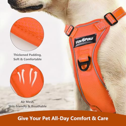VavoPaw Dog Seat Belt Harness for Car, Dog Car Harness Adjustable Mesh Breathable & Dogs Seatbelt Safety Tether with Elastic Bungee for Small Medium Large Pets(Orange, M)