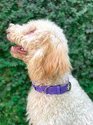 Tuff Pupper Classic Heavy Duty Dog Collar | 10x Stronger Than Leather | 100% Waterproof & Odor Proof Dog Collar | Tough Rust-Proof All Metal Hardware - color: Royal Purple