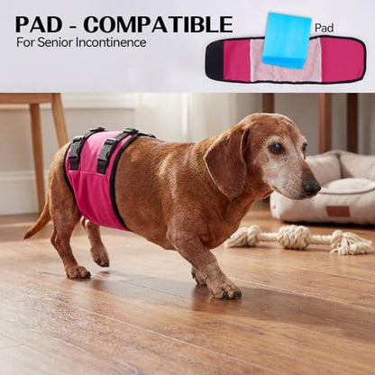 DENTRUN Male Dog Wrap, Adjustable Belly Band Leak-Proof & Lick Prevention | Machine washable, fast drying, post-surgery recovery & heat cycle diaper, stops mounting & marking, adjustable fit, XS-XL - color: Pink, size: L