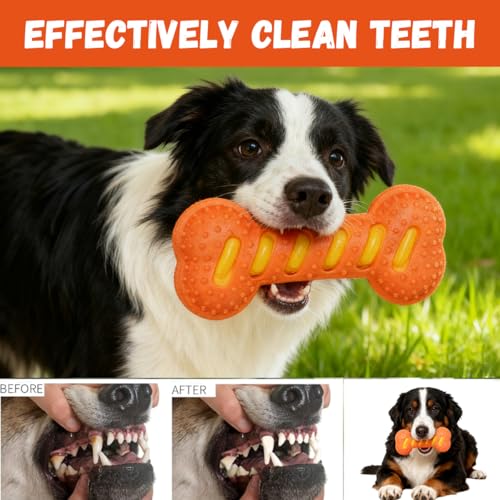 Dog Squeaky Toys for Aggressive Chewers,Dog Toys，Tough Durable Dogs Toys with Natural Rubber，Chewers for Small, Medium and Large Breeds Bone Toy - color: Orange