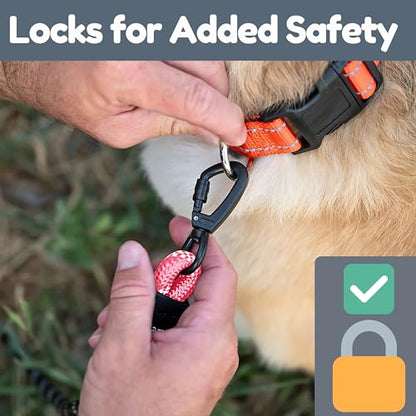 6 Foot Dog Leash, Two Extra Padded Handles, Locking Carabiner Clip, Reflective for Night Visibility, Weatherproof, Heavy Duty Rope Leash, Roam Gear (Pink) - color: Pink