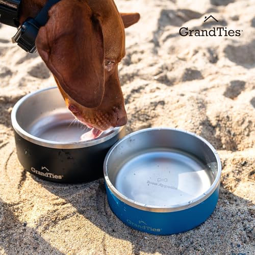 GrandTies Stainless Steel Dog Bowl | Engraved Reusable BPA-Free Insulated Cat & Dog Bowls | Large Heavy Duty Non Skid Spill Proof Bowl | Outdoor Dog Water Bowl (42oz, Powder Green) - color: Powder Green, size: 42oz