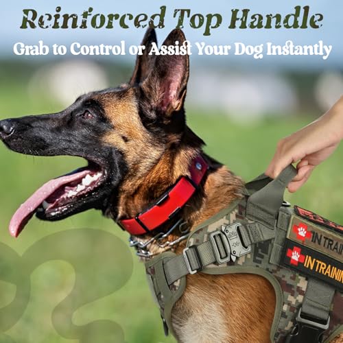 rabbitgoo Tactical Dog Harness Medium Sized, Heavy Duty Pet Harness with Handle, No-Pull Service Vest Medium Breed, Adjustable Military Dog Vest for Training Hunting Walking, Green Camo, M - color: Green Camo, size: Medium