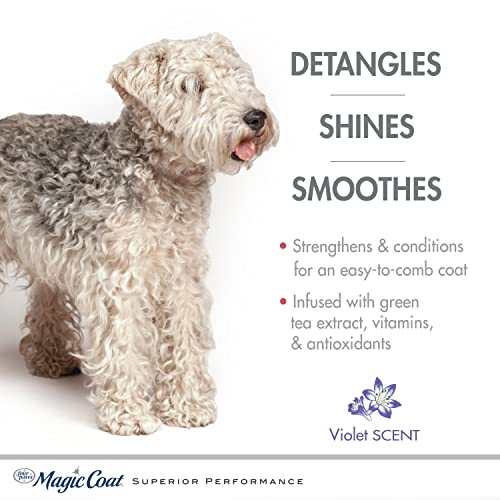 Four Paws Magic Coat Tangles and Mats Dog Grooming Shampoo, Violet Scent, 16 Ounce Bottle - size: 16 Ounces (1 Count), style: Detangling Dog Shampoo