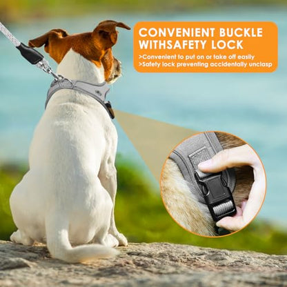 Dog Harness and Leash Set, No Pull Saddle Style Pet Harness, Breathable Mesh Adjustable Reflective Dog Vest for Medium Small Dogs Harness 2 D-Rings, Grey, M - color: Grey, size: M