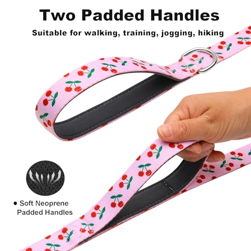 4ft Dog Leash with Two Padded Handles, Heavy Duty Strong Nylon Pet Leash with Soft Neoprene Handle for Small Medium Large Dogs, Cherry - color: Cherry, size: 1 in x 4 ft